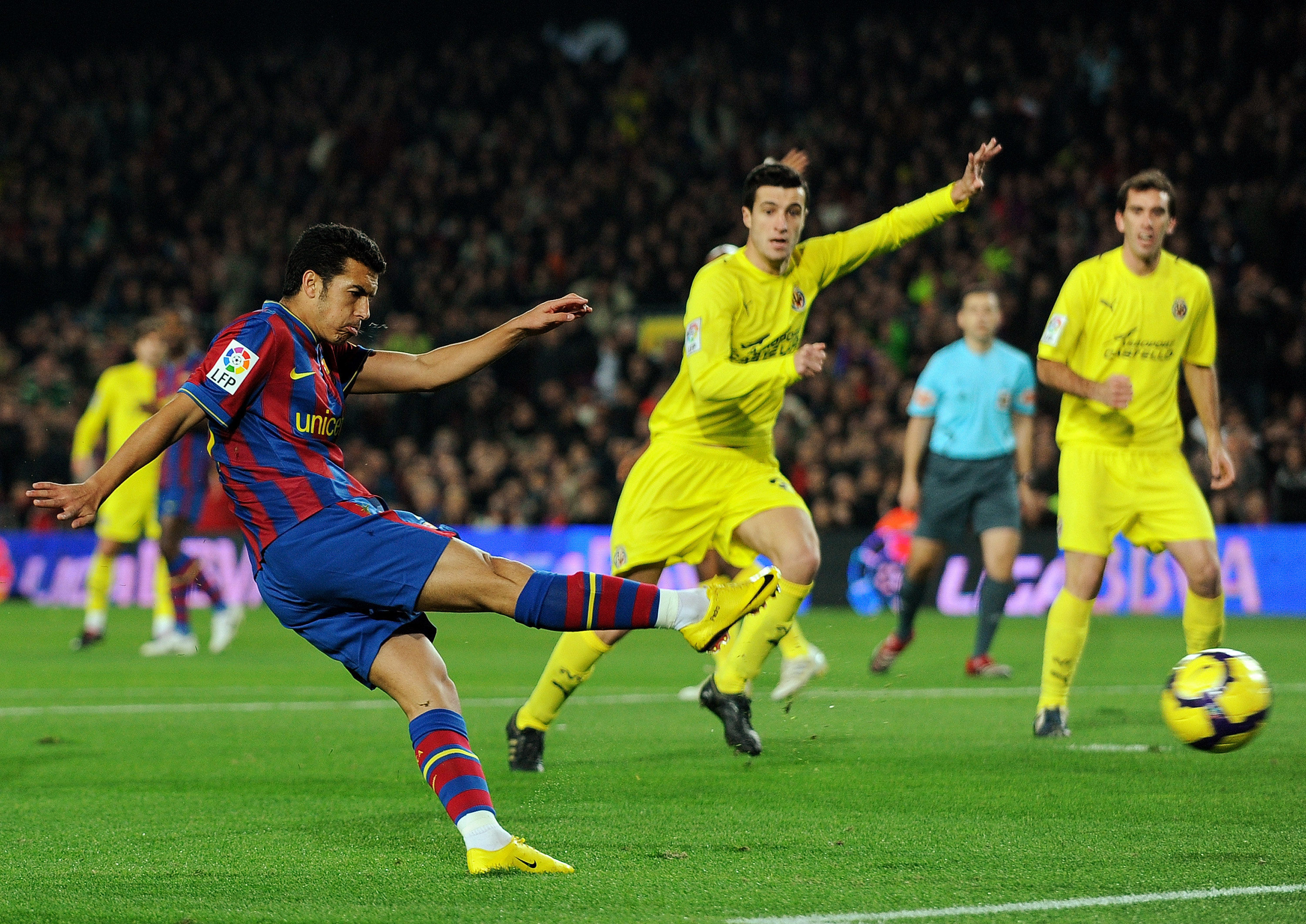 动协会青训 动协会青训